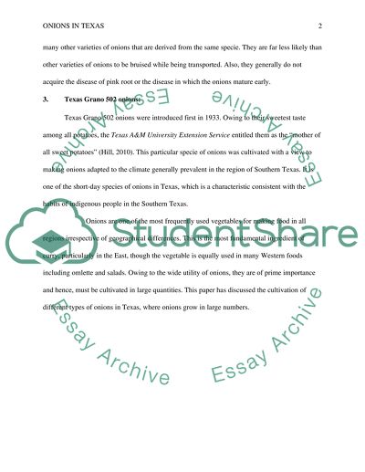 Growing Onions in Texas