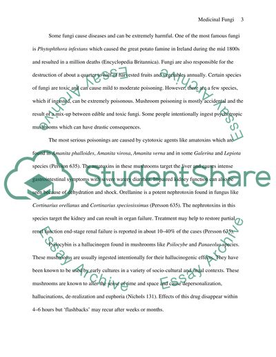 Unique Medicinal Mushroom: Fungi