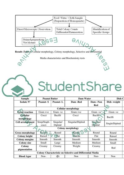 Molecular Biology & Mechanism of Disease
