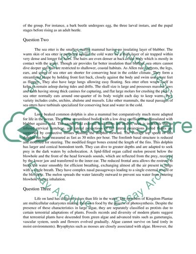 The Neopteran Questions for an Exam