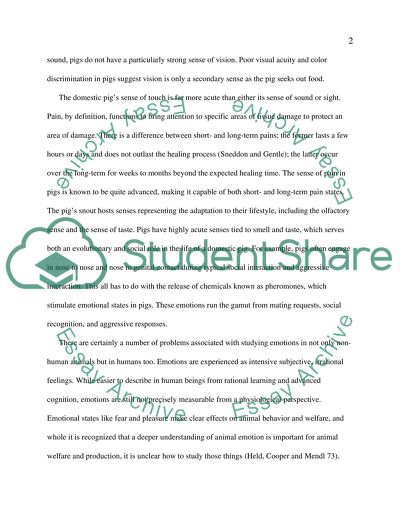 Pigs are emotional and sensitive