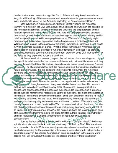 The American Sense of the Possible in Literature