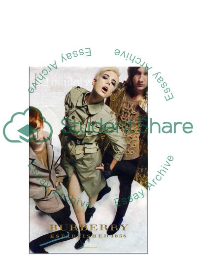Forms of Communication in Burberry Advertisement