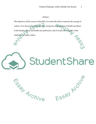 Cultural Challenges within a Health Care System