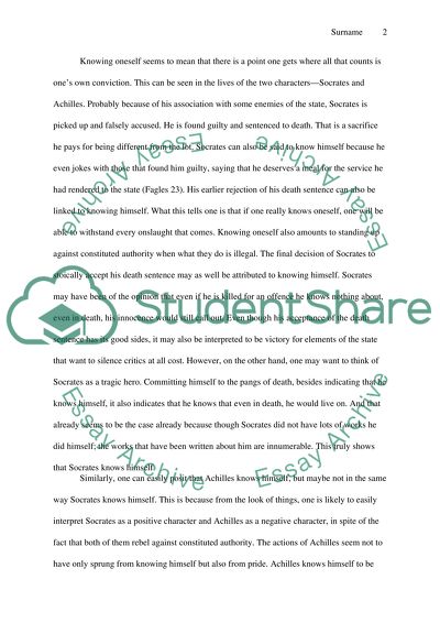 Iliad essay questions with answers image