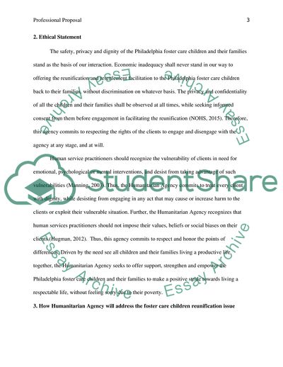 Professional Humanitarian Agency Proposal
