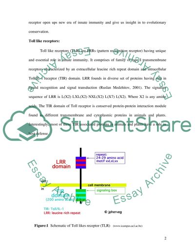 Toll-Like Receptor and Signaling Pathway