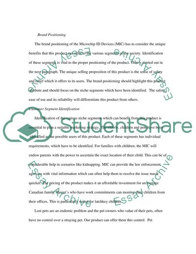 International Business Project Research Paper