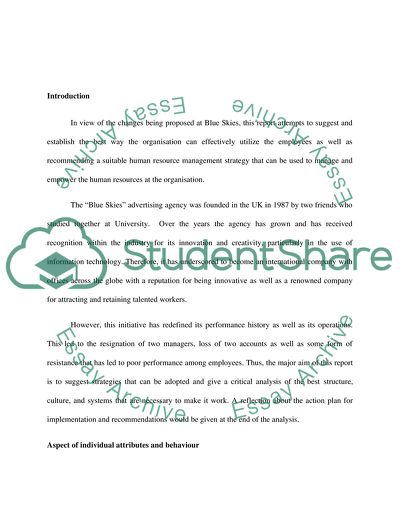 Human Resources in Blue Sky Company