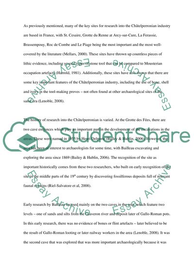 Interesting Aspects of the Chtelperronian Industry