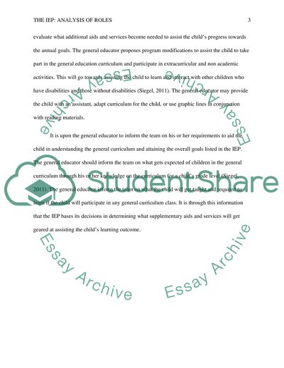 THE IEP: Analysis of Roles