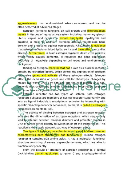 The Types of Endometrial Cancer