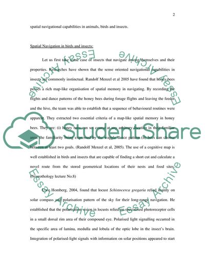 Types of Spatial Navigation