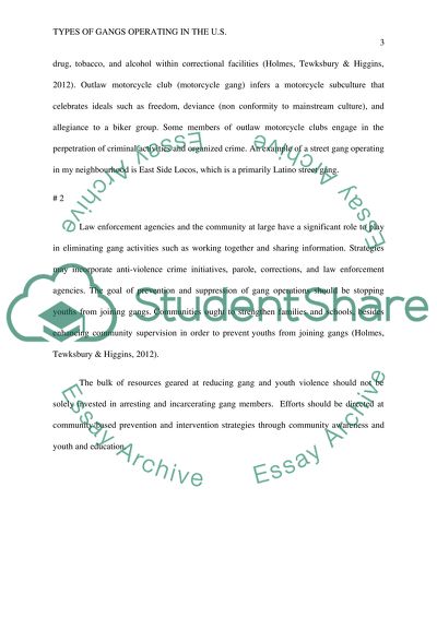 Types of Gangs Operating in the United States