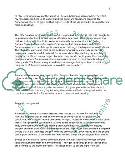 Effect of Gradient on the Abundance of Ranunculus Repens