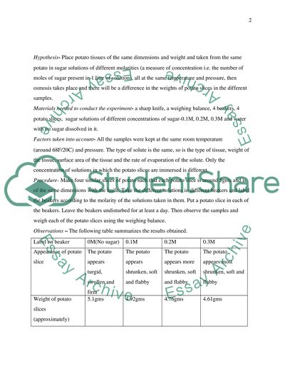 The Effect of Osmosis on Potato Tissue When Placed In Different Concentrations of Sugar Solutions