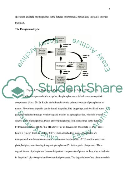 Phosphorus Cycling, Speciation and Determination