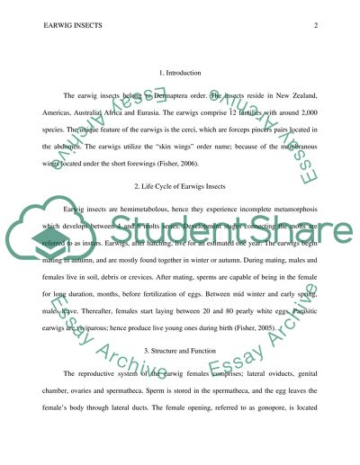 Evolution of Earwig Insects