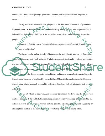 Criminal Justice - Issues in the CJA