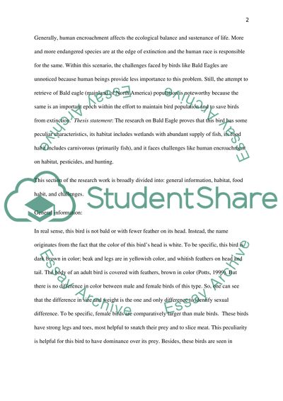 Flight( I choose the Bald eagle)