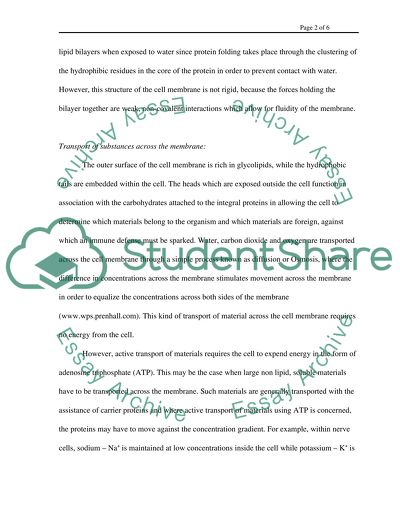 cell membrane essay