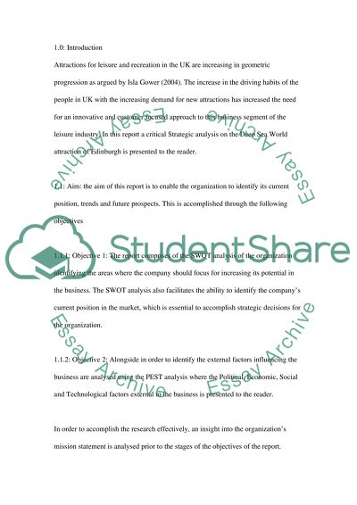Strategic Analysis for Deep Sea World
