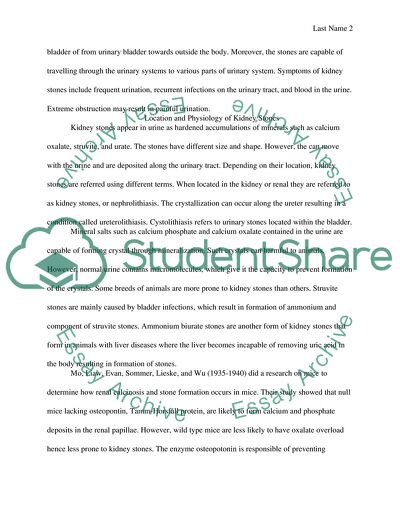 Physiology of Kidney Stones