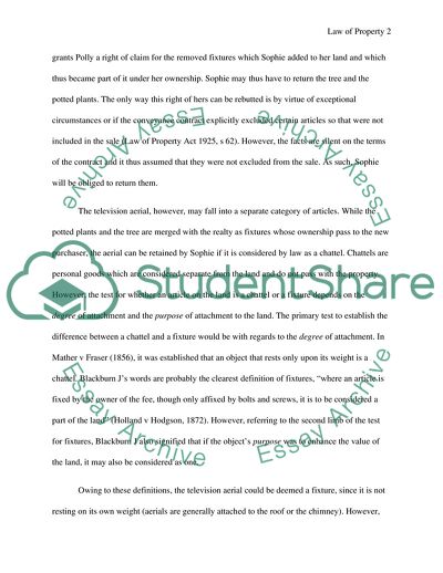 Pollys Claim to the Potted Beds, the Tree, and the Television Aerial