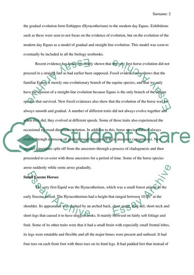 The Evolution of the Horse