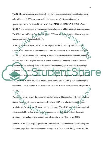 Cancer Testis Antigens and Meiosis