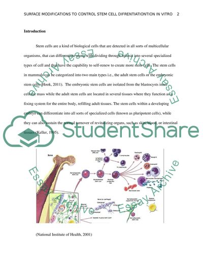 Surface modification to control stem cell differentiation in vitro