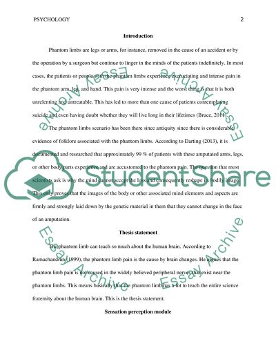 What can phantom limb pain teach us about the human brain