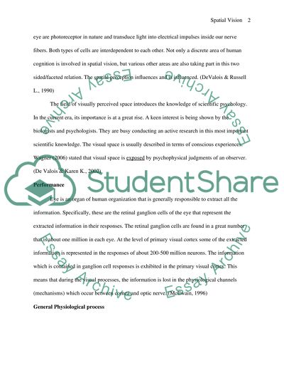 Physiological Processes Involved in our Spatial Vision