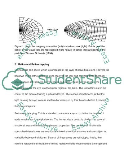 Visual Information: Sensation and Perception