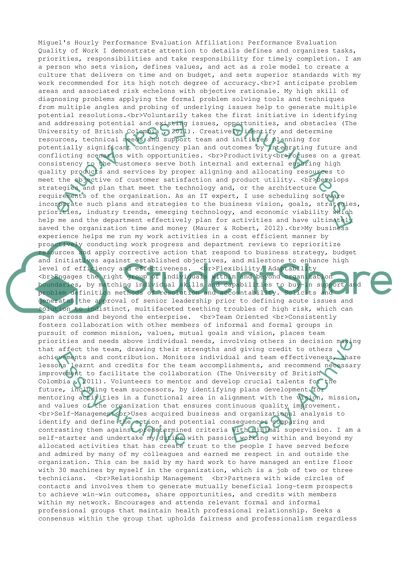 Miguels Hourly Performance Evaluation