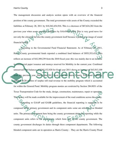 Financial Statement/Audit Report Review (1)