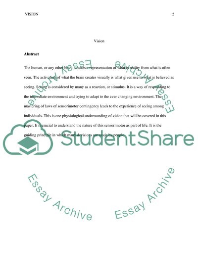 Vision as a Sensorimotor in Everyday Life