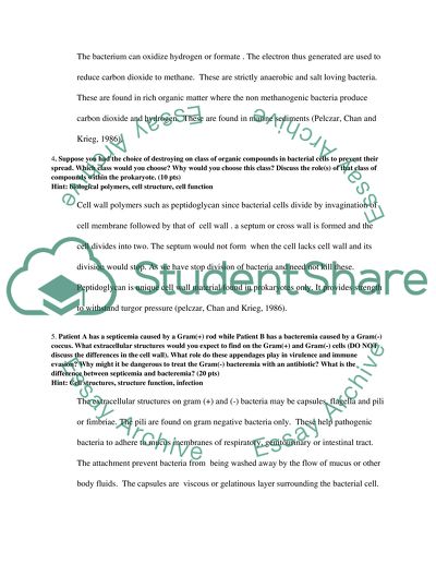 Important Energy Source for Prokaryotic Cells