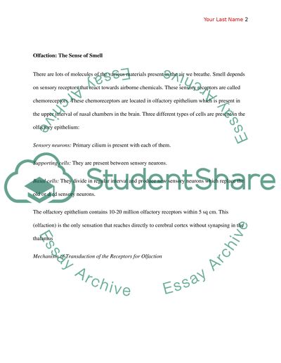 Mechanism of Transduction of Receptors of Special Senses