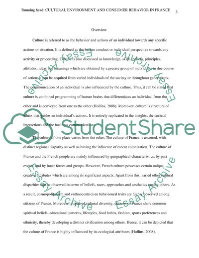 Cultural Environment and Consumer Behavior in France