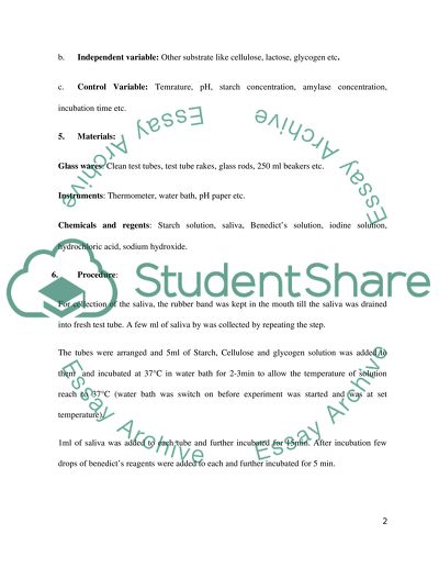 IB Biology Substrate Specificity of Digestive Enzymes Planning Investigation
