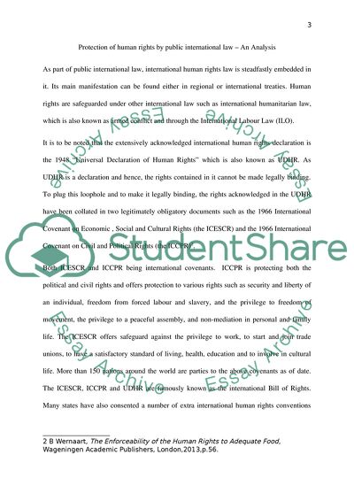 Effectiveness of the Protection of Human Rights by Public International Law