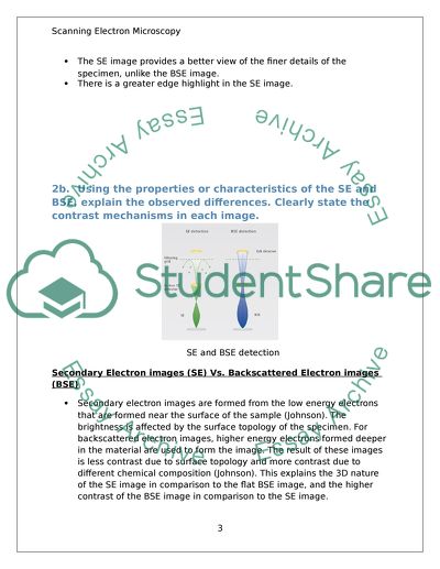 Scanning Electron Microscopy