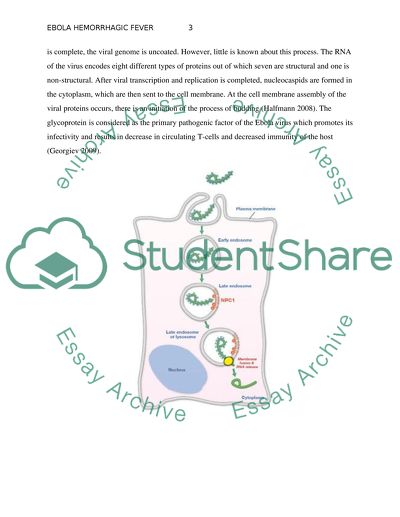 Ebola Hemorrhagic Fever
