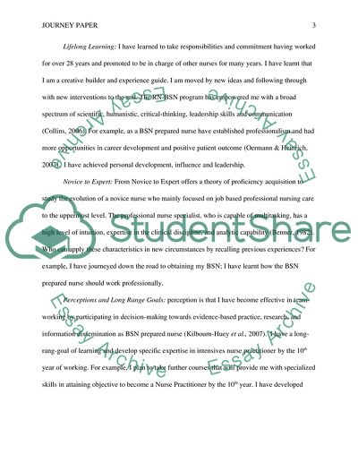 Professional Evolution during RN-BSN Program