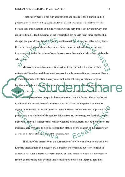 Systems and Cultural Investigation