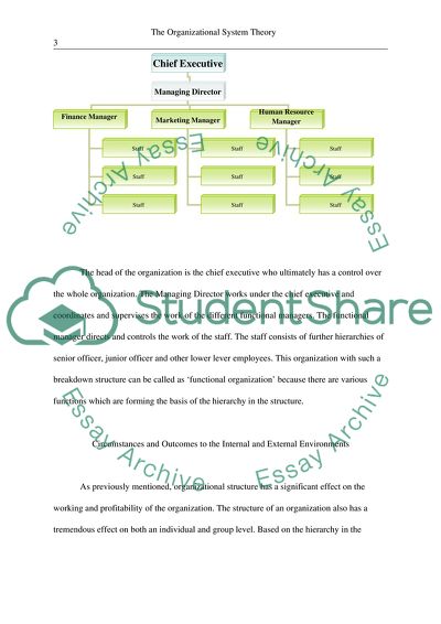 The Organization Systems Theory