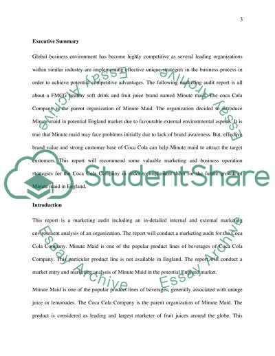 Preparing the Marketing Audit for Market Entry - Coca Cola Company