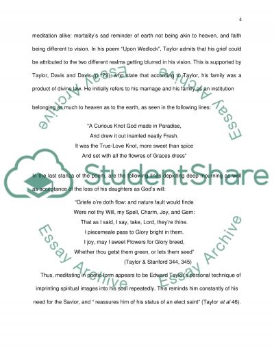 Essays on puritan literature
