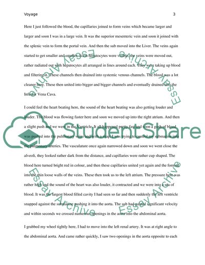 Discussing My Voyage